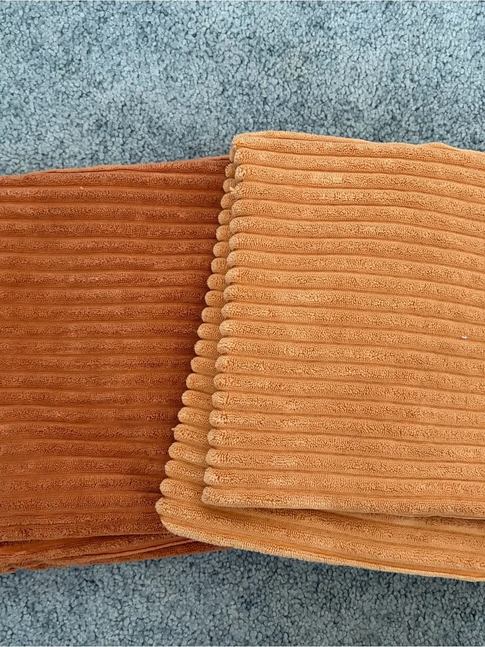 Pair of Ribbed Velvet Pillow Covers